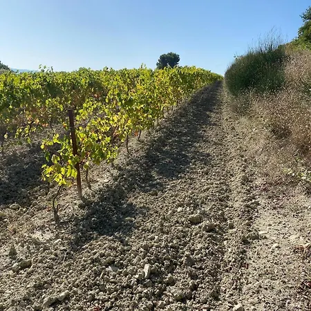 De Charme 4p Avec Piscine Et Au Calme Mirabel-aux-Baronnies